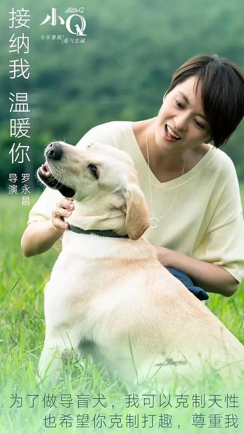 制作田纳西州身份证